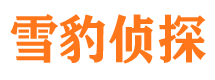 邱县侦探公司